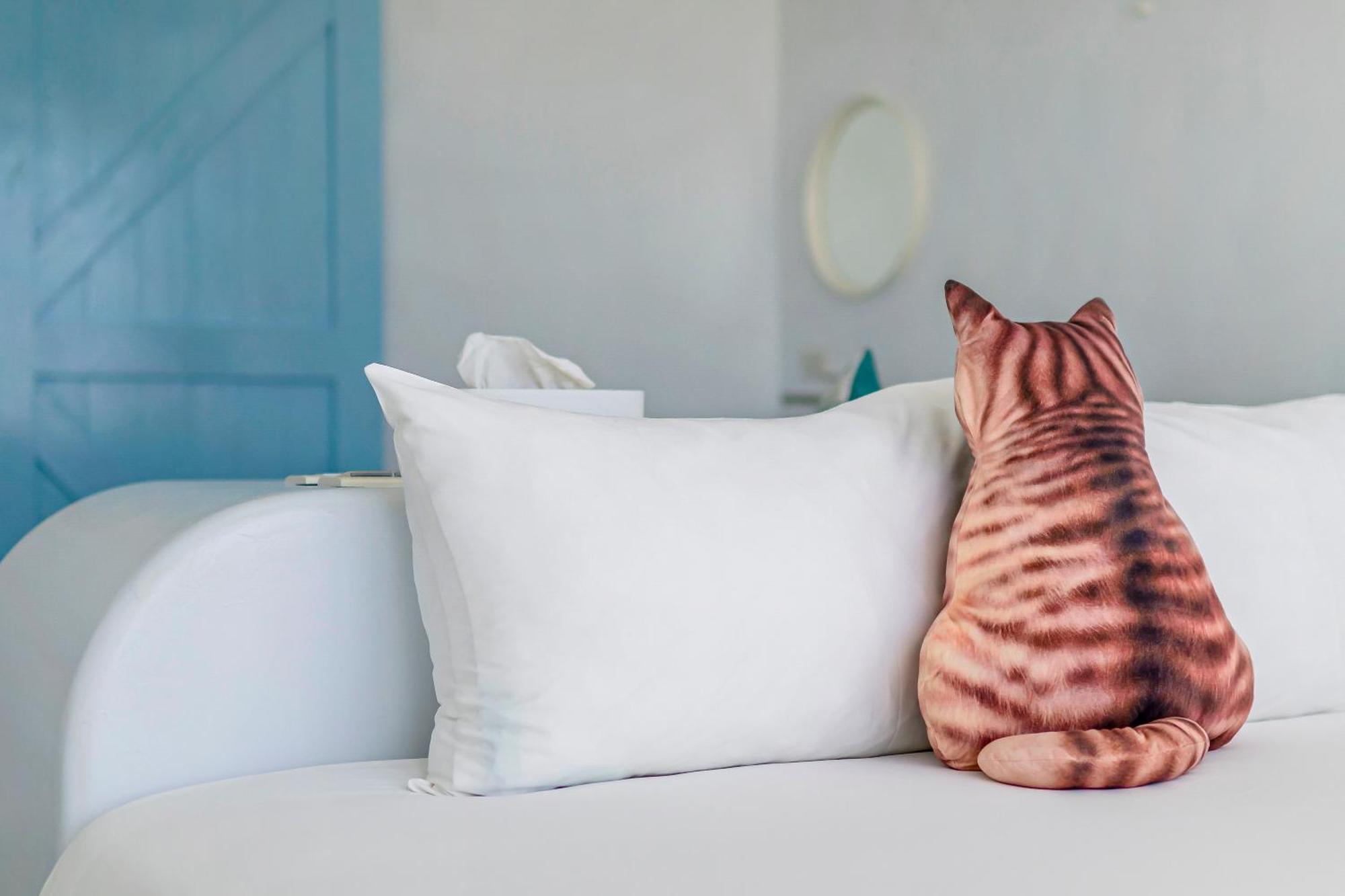 مبيت وإفطار نانوان Cat At Greece المظهر الخارجي الصورة